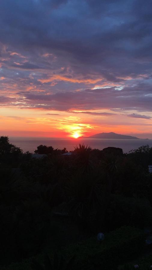 Villa Damecuta B&B อนากาปรี ภายนอก รูปภาพ