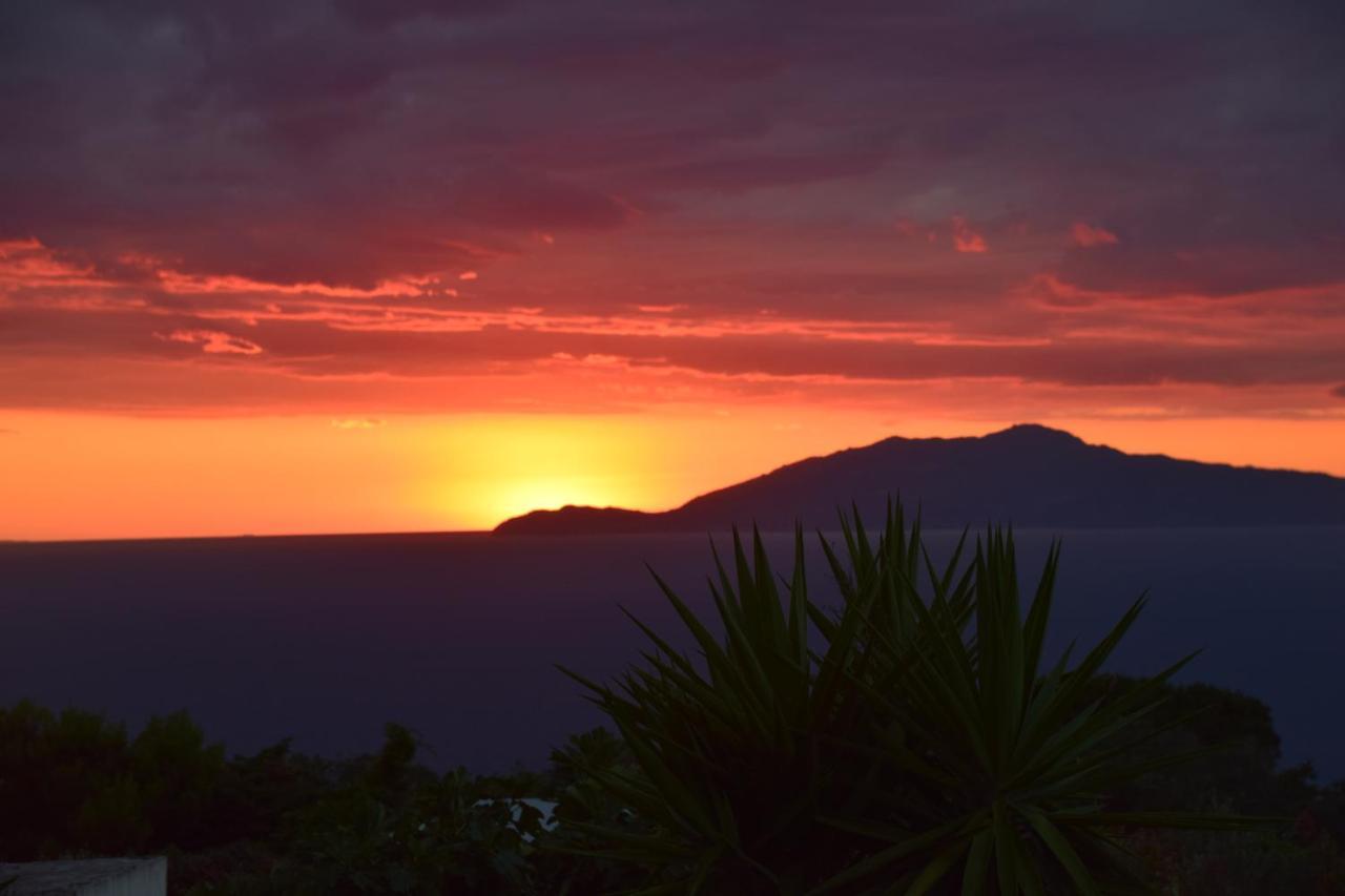 Villa Damecuta B&B อนากาปรี ภายนอก รูปภาพ